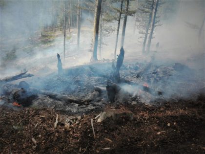 Incendiile de vegetație uscată, de neoprit! Aproape 150 de hectare de teren au ars weekend-ul trecut