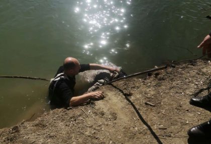 Descoperire macabră pe râul Mureș (UPDATE)