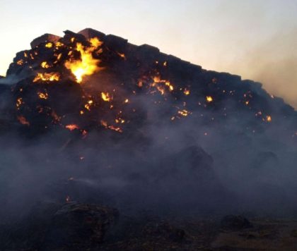 Pompierii se luptă de aproape două zile să stingă incendiul izbucnit între Pecica și Nădlac