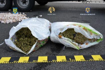 Zeci de percheziții la Arad. Au fost confiscate 27 de kilograme de cannabis (FOTO)