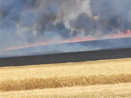 Două sute de hectare de culturi agricole mistuite de flăcări în câteva ore (FOTO/VIDEO)