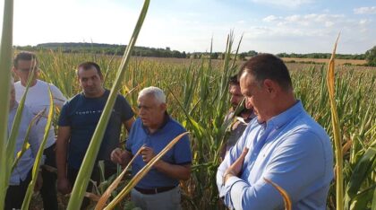 Ministrul Agriculturii în vizită la Arad pentru a se documenta la brazdă despre efectele secetei