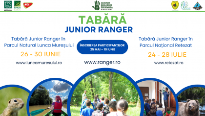 Start la înscrieri în taberele gratuite Junior Ranger din Parcul Natural Lunca Mureșului și Parcul Național Retezat