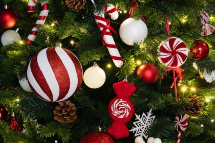 „Brazi de poveste la muzeu”, bucuria unor copii din medii defavorizate