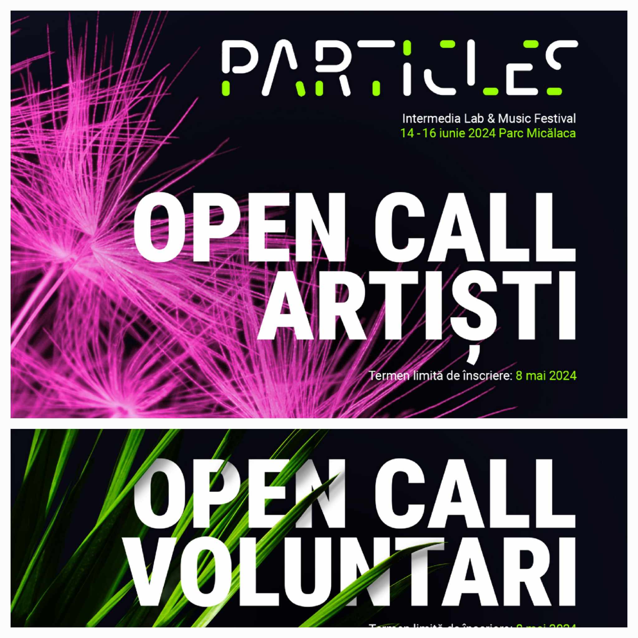 Evenimentul Particles se reîntoarce în Arad cu tema urbană-naturală.