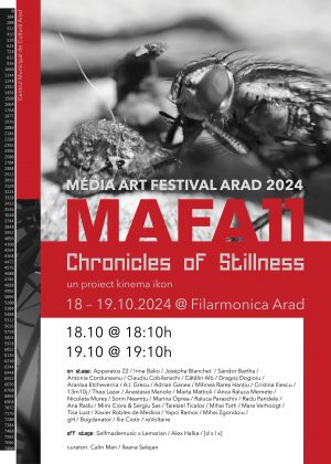 Media Art Festival Arad, la Filarmonica Arad