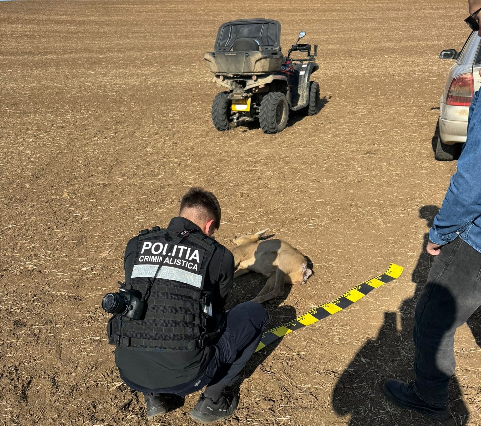 Imagini șocante din județul Arad: scene de cruzime inimaginabilă (FOTO + VIDEO)