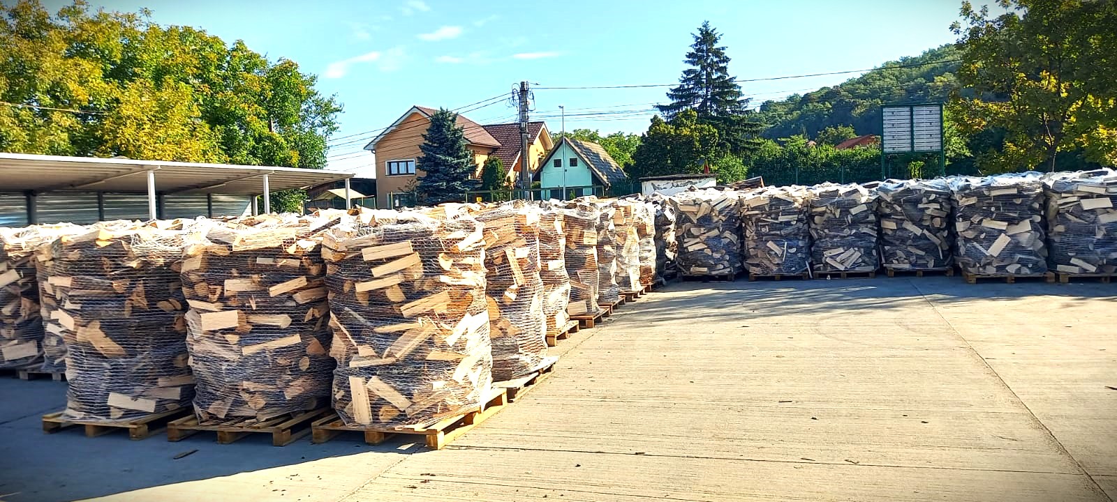 Romsilva pune la dispoziția cetățenilor 2 milioane de metri cubi de lemn de foc, online!