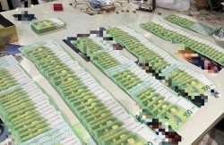 Nouă percheziții domiciliare în municipiul și județul Arad, într-un dosar penal instrumentat de Tribunalul Judiciar din Paris item-thumbnail