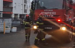Incendiu într-un bloc din Micălaca. Zeci de persoane, evacuate item-thumbnail