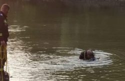 Persoană căutată cu ajutorul scafandrilor în apele Mureșului item-thumbnail