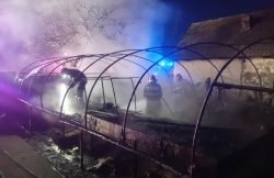 Solar făcut scrum. Pompierii au reușit să limiteze extinderea incendiului item-thumbnail