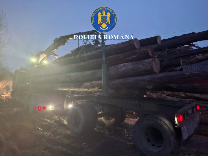 Dosar penal pentru depozitare și transport de material lemnos în județul Arad item-thumbnail