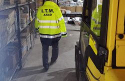 Mai multe cazuri de muncă „la negru” depistate la Arad item-thumbnail