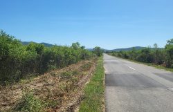 CJA anunță lucrări de toaletări și defrișări pe drumurile județene pentru siguranța în trafic item-thumbnail
