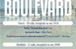 Open Boulevard – Spectacole, street-food și alte atracții, în centrul Aradului item-thumbnail