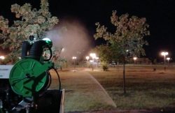 Primăria anunță o nouă acțiune de dezinsecție în municipiu item-thumbnail