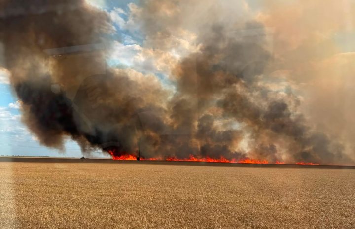 Zeci de hectare de grâu mistuite de flăcări în județul Arad (FOTO) item-thumbnail