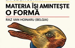 Complexul Muzeal Arad găzduiește expoziția de artă „Materia își amintește o formăˮ, semnată de artistul Raz van Hoinaru item-thumbnail