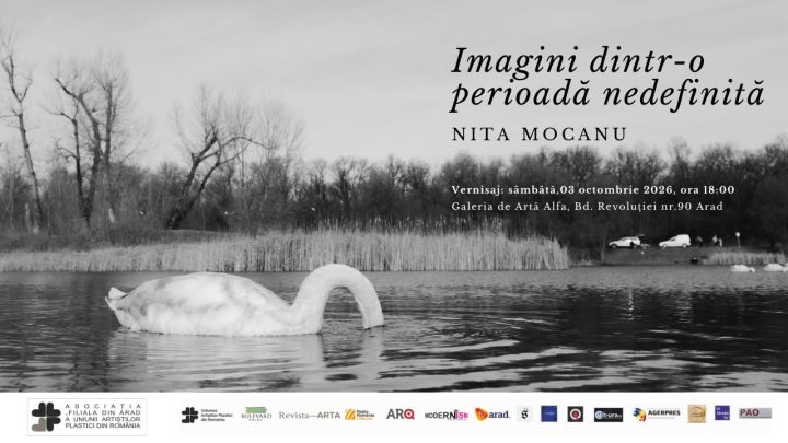Nita Mocanu deschide la Arad expoziția „Imagini dintr-o perioadă nedefinită” item-thumbnail