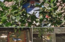 În Arad se află un edificiu unic în peisajul arhitectural din România (FOTO) item-thumbnail