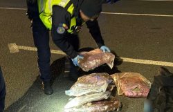 Tânăr de 21 de ani prins la Nădlac cu peste șapte kilograme de canabis în bagaj item-thumbnail