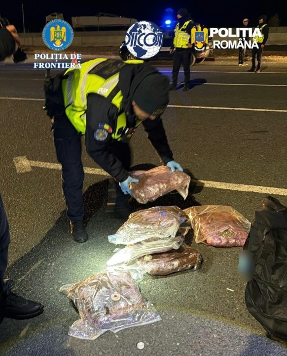 Tânăr de 21 de ani prins la Nădlac cu peste șapte kilograme de canabis în bagaj item-thumbnail