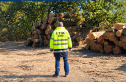 Controale ale ITM Arad în domeniul forestier item-thumbnail