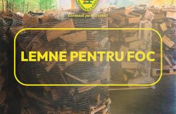 item-thumbnail